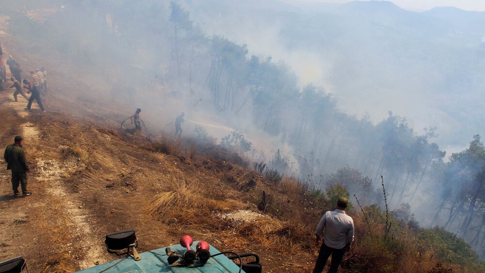 Raging wildfires in Syria's Latakia province