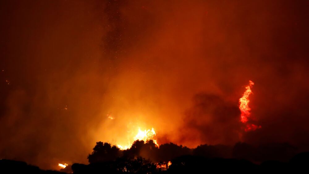 Deadly bushfires reach power plant in Turkey