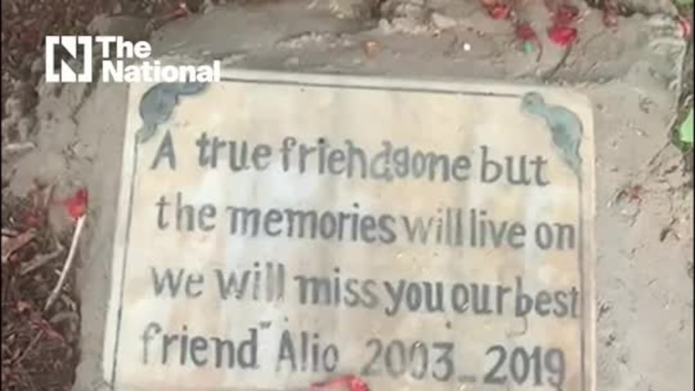 Inside Cairo's only known pet cemetery