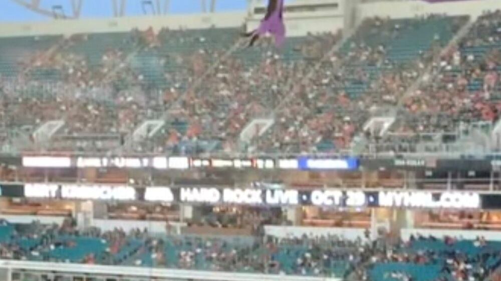 Fans rescue a falling cat at a Florida stadium
