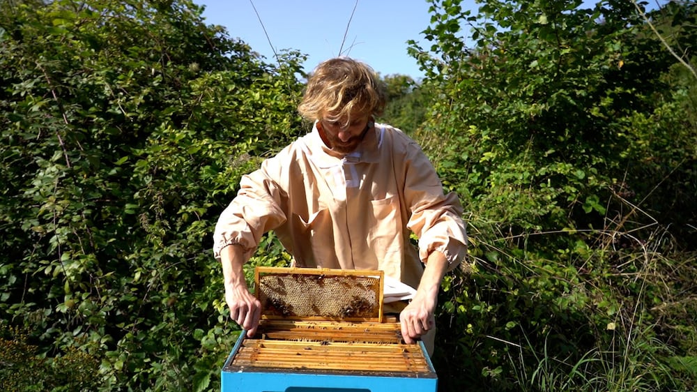 Meet the Syrian activist using beekeeping to heal diaspora communities