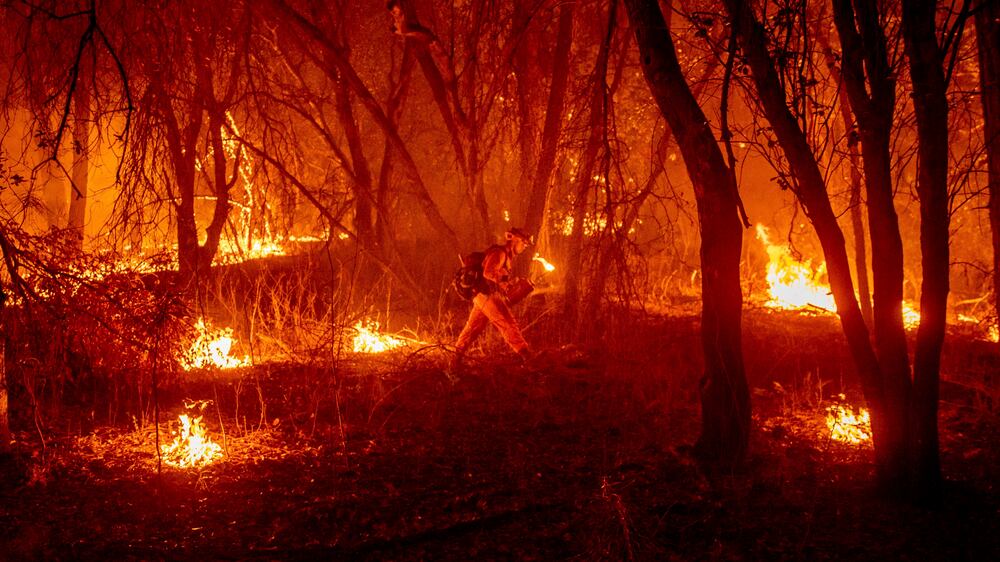 An inmate firefighter from the Trinity River Conservation Camp uses a drip torch to slow the Fawn Fire burning north of Redding, Calif.  in Shasta County, on Thursday, Sept.  23, 2021.  (AP Photo / Ethan Swope)