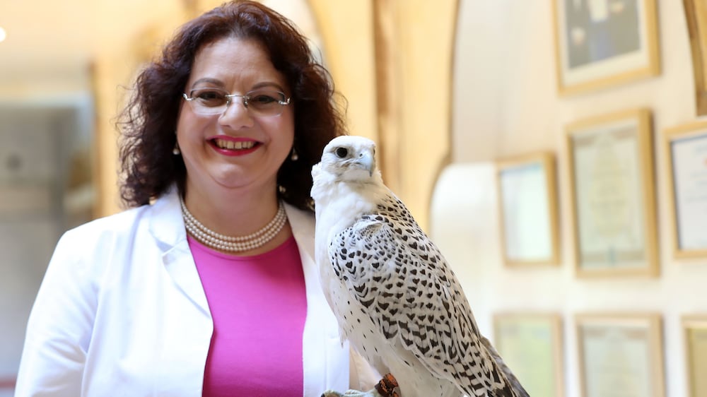 Meet the executive director of Abu Dhabi Falcon Hospital