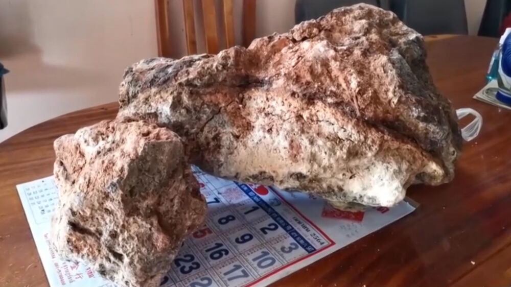 'Whale vomit' windfall could net Thai fisherman up to $1.2 million