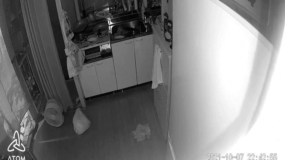 CCTV footage shows effect of Japan earthquake inside a house
