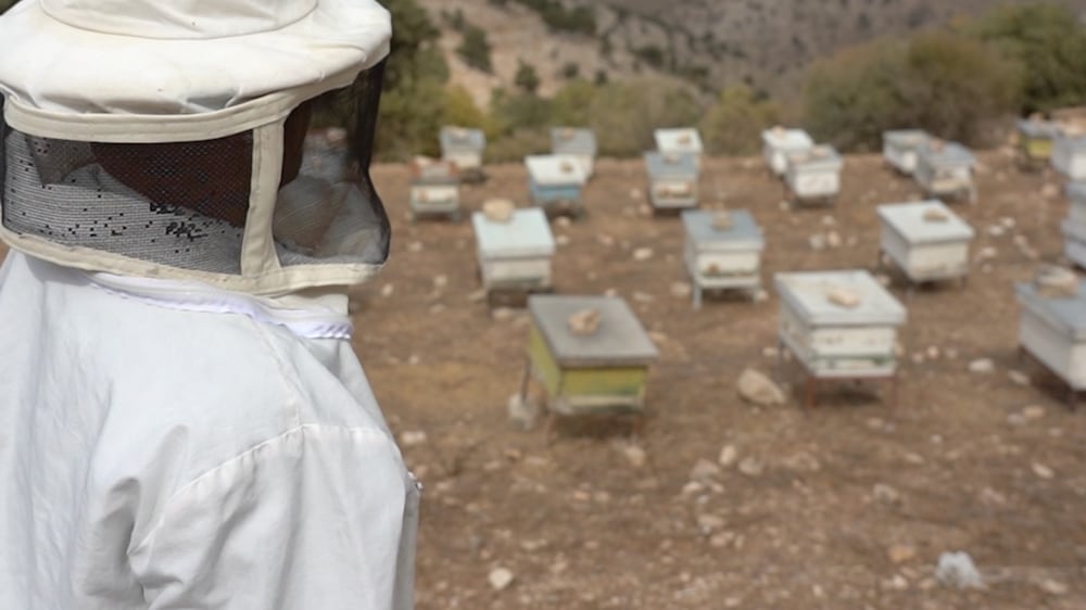 Meet the beekeeper of Um Qais, fighting to preserve Jordan's nature