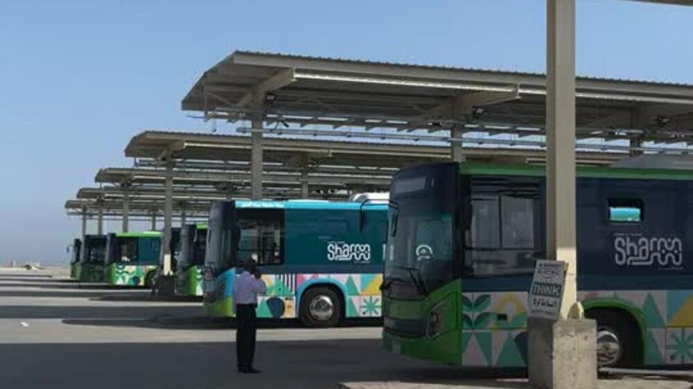 140 electric buses are ready for the Cop27 visitors