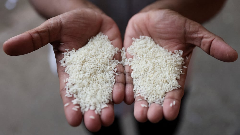 This is how farmers in India are growing rice sustainably