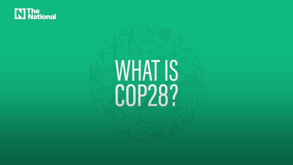 What is Cop28?