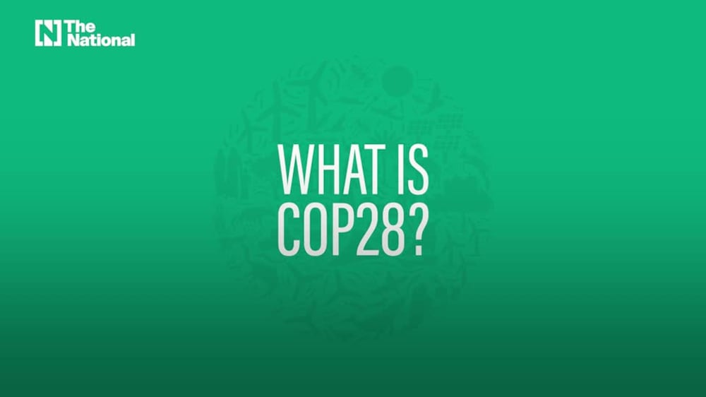 What is Cop28?