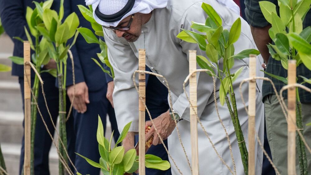 President Sheikh Mohamed plants mangrove tree in Indonesian forest