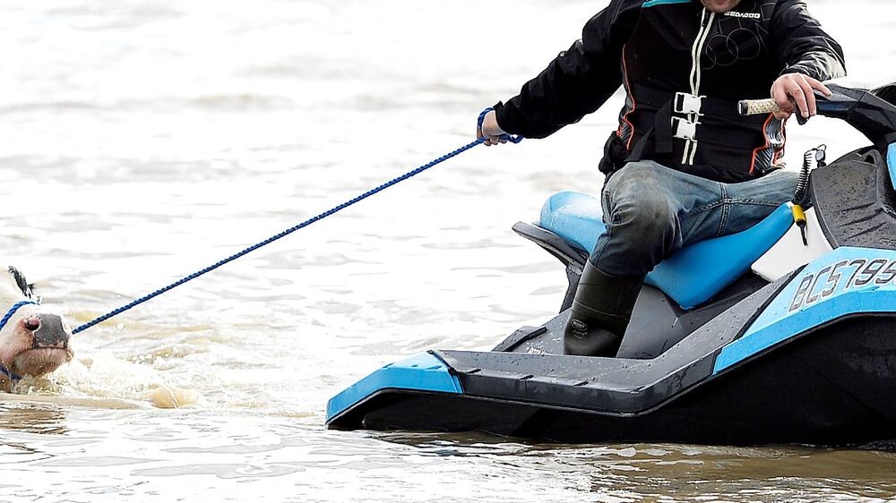 Cows rescued from floods using jet skis
