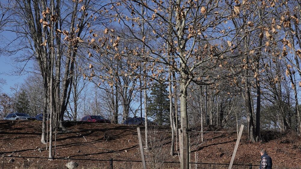 Flowers placed at Sandy Hook permanent memorial