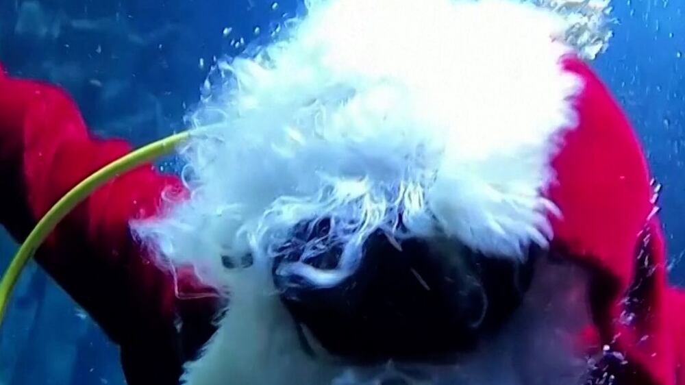Santa Claus spreads holiday cheer underwater at Paris Aquarium