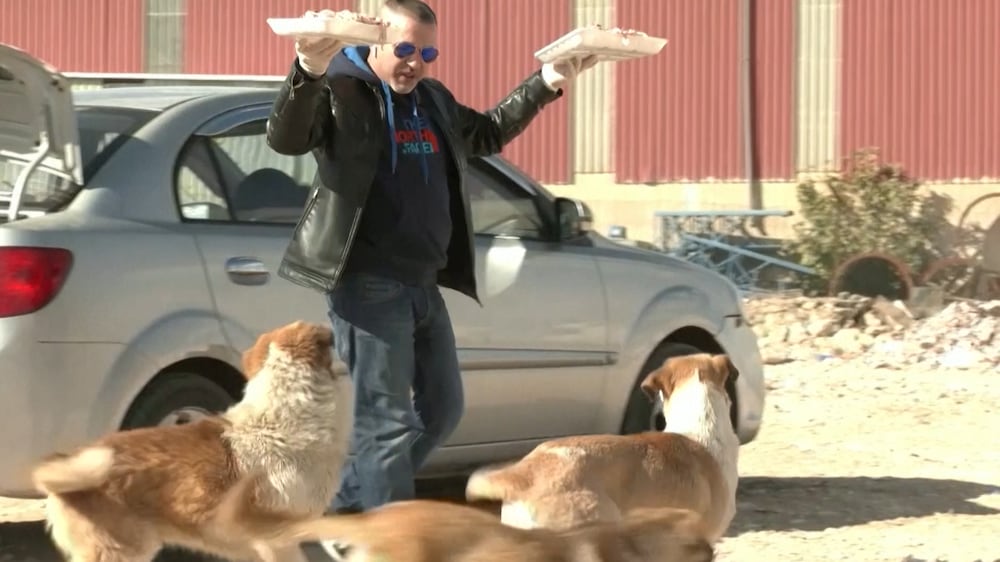 The man who spends 1,000 Jordanian dinars a month to feed stray dogs