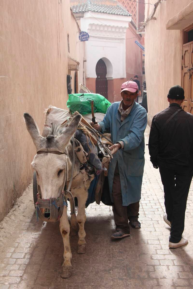 The medina's bustling alleyways