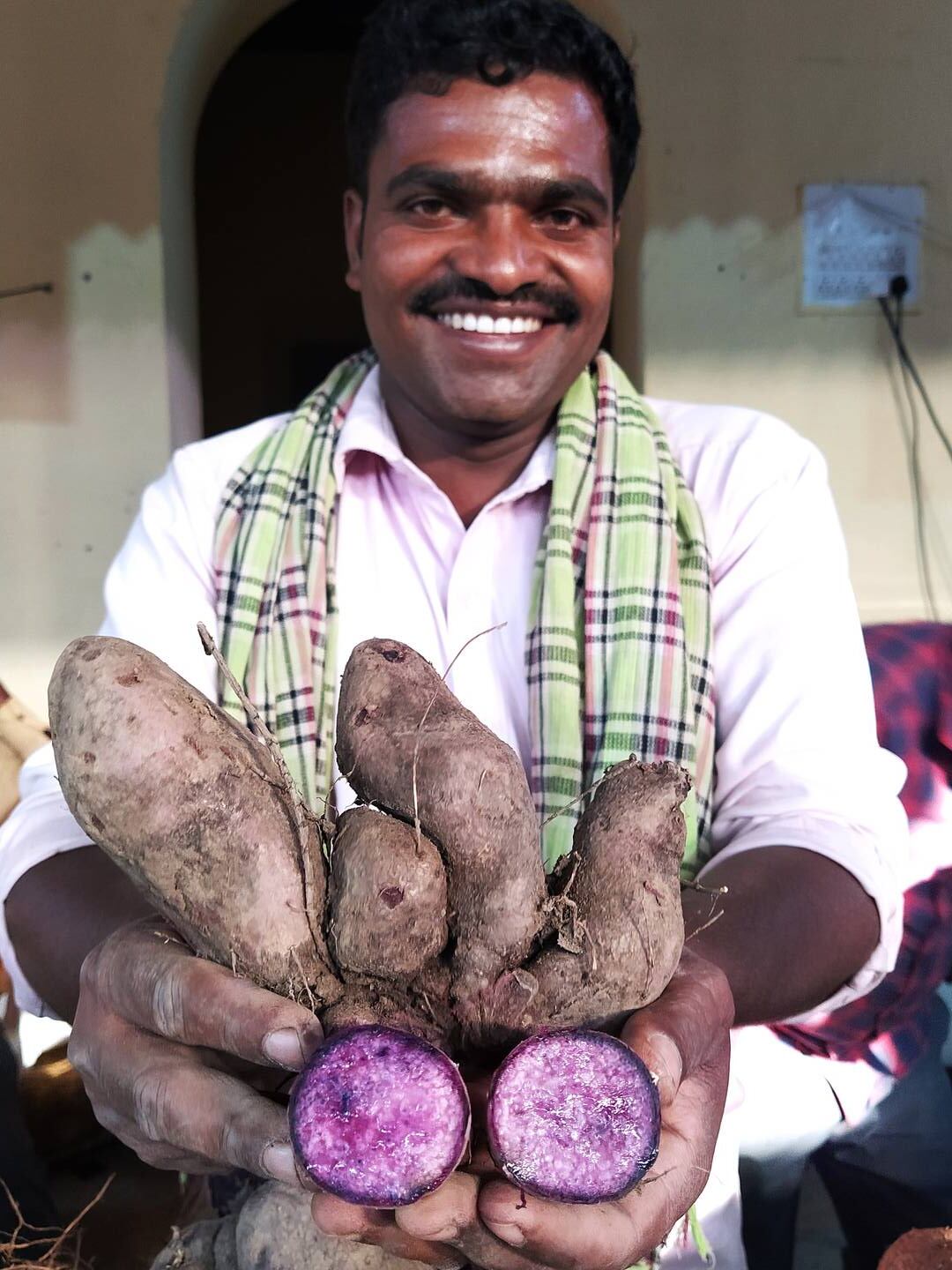 Purple Yam ist ein vergessenes Lebensmittel, das zunehmend auf Wurzel- und Knollenmessen in Indien vorgestellt wird.  Foto: G. Krishna Prasad