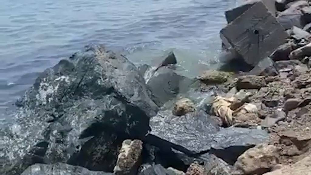 Second oil spill hits Kalba in two months