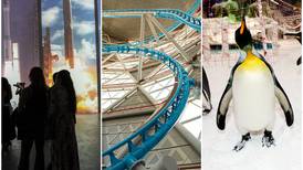 10 attractions in UAE malls: an indoor roller coaster to an underwater zoo