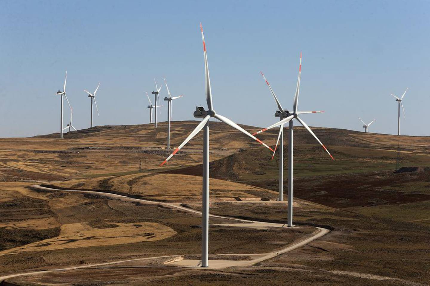 The Tafila wind farm in Jordan