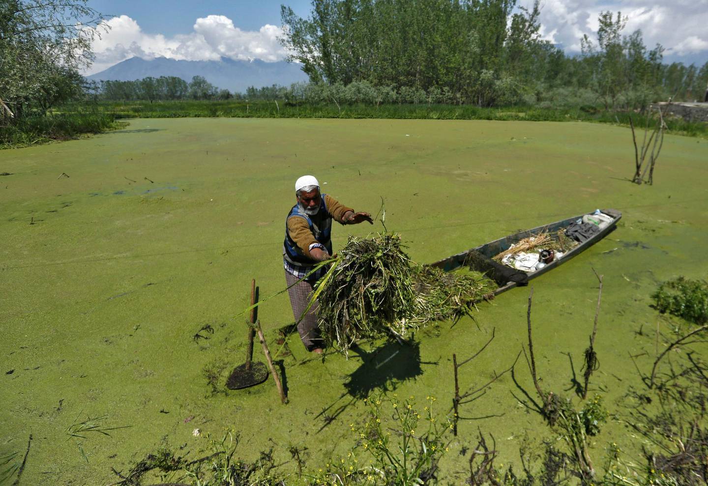 A man removes weed from the algae-covered Anchar Lake ahead of Earth Day, amid concerns about the spread of coronavirus disease (COVID-19), in Srinagar April 21, 2020. REUTERS/Danish Ismail