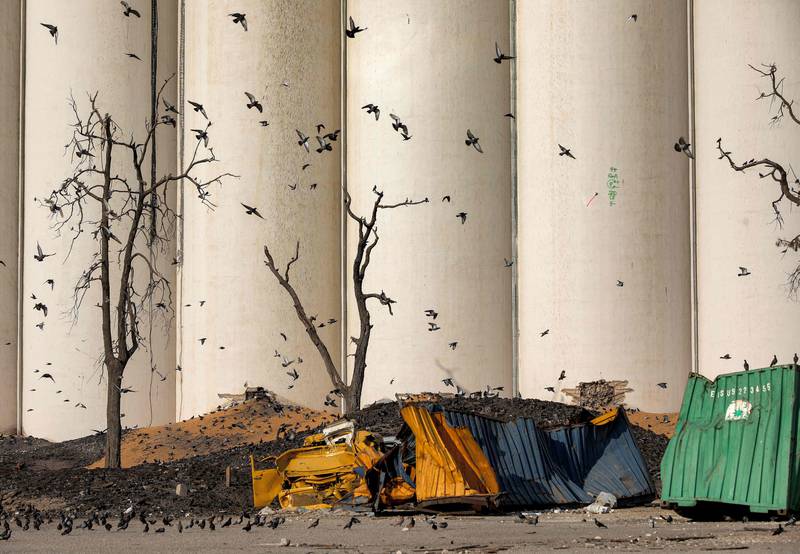 Pigeons fly over destroyed containers near the damaged grain silos at the port of Lebanon's capital Beirut, almost a year after the devastating explosion that killed more than 200 people and injured scores of others.