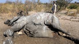 Botswana's president urged to better investigate Okavango elephant deaths