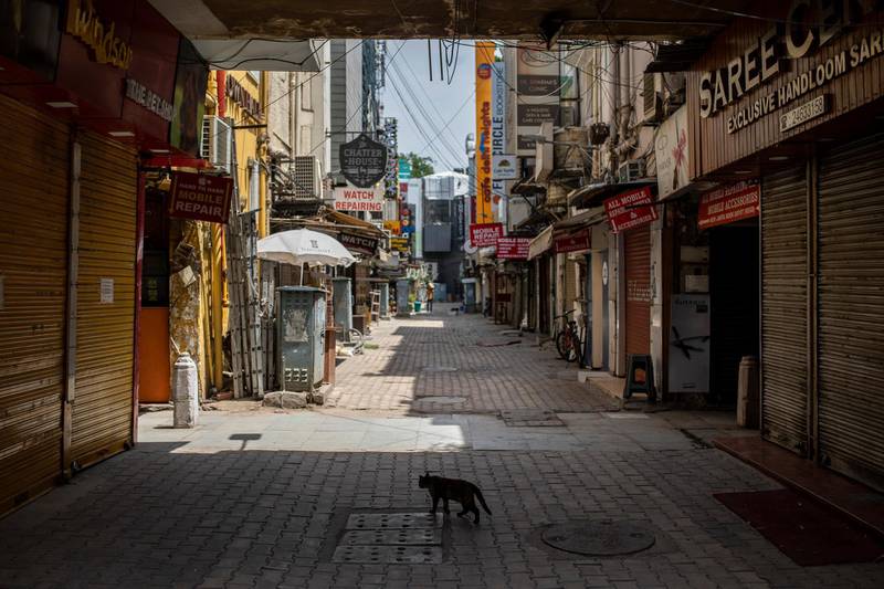 A cat walks in a deserted market area during a weekend lockdown in New Delhi, India, Saturday, April 17, 2021. Over 200,000 new infections were detected in the past 24 hours, and major cities, like Mumbai and New Delhi, are under virus restrictions. (AP Photo/Altaf Qadri)