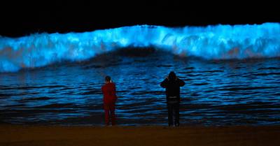 Glowing bioluminescent waves return to California coast