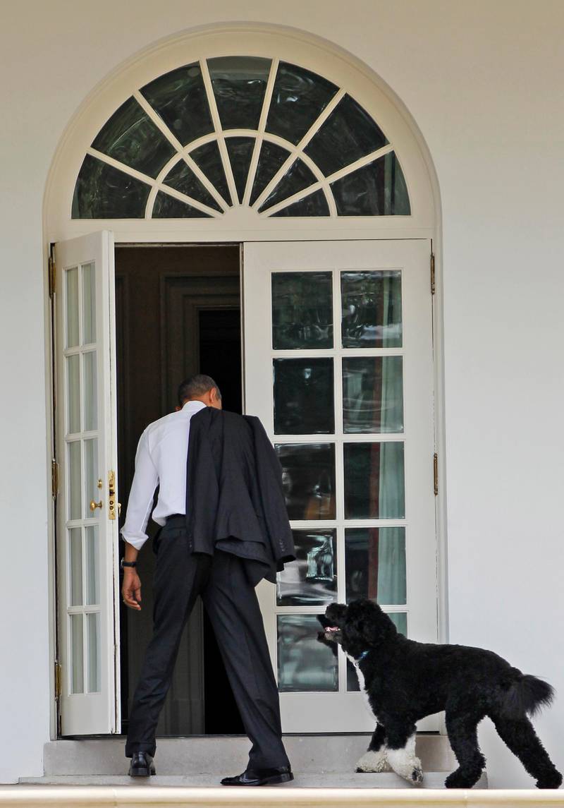 Bo died on May 8, 2021, after a battle with cancer, the Obamas said on social media. AP