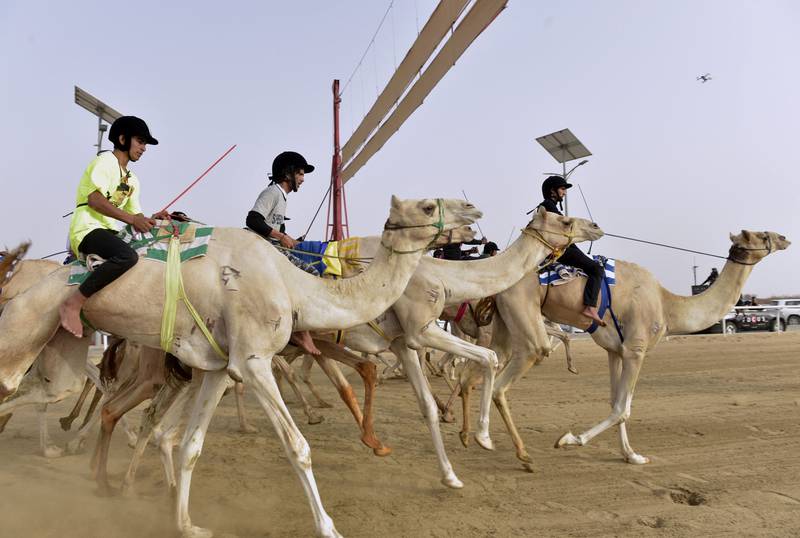 Teen-aged riders take part in a marathon during the Crown Prince Camel Race in the southwestern Saudi city of Taif on August 10, 2022.  (Photo by Amer HILABI  /  AFP)