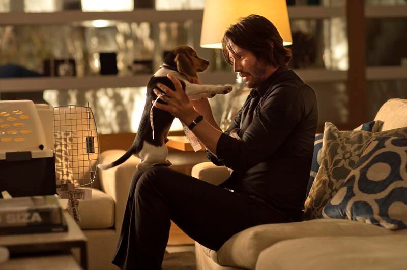 In the first film, John Wick comes out of retirement to seek revenge for the murder of his puppy Daisy