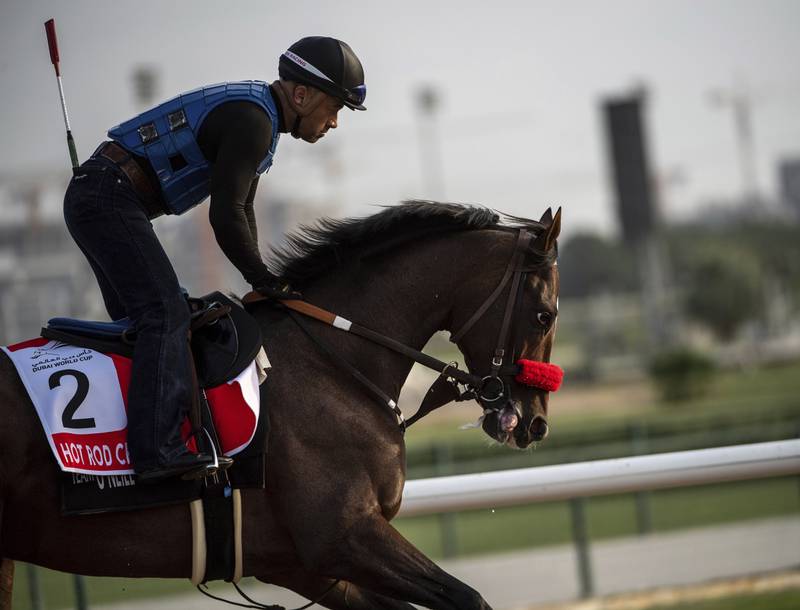 Dubai World Cup contender Hot Rod Charlie during morning track work at Meydan Racecourse. AP Photo