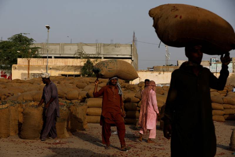 Dr Attaullah Khan, director of the Arid Zone Research Centre at Pakistan's Agricultural Research Council, told Reuters that heatwaves over the past three years had affected the growth of chilli crops in the area, causing diseases that curled their leaves and stunted their growth. Now the floods pose a whole new set of challenges.
