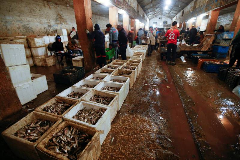 The day's catch for sale at a fish market at Najaf. Reuters