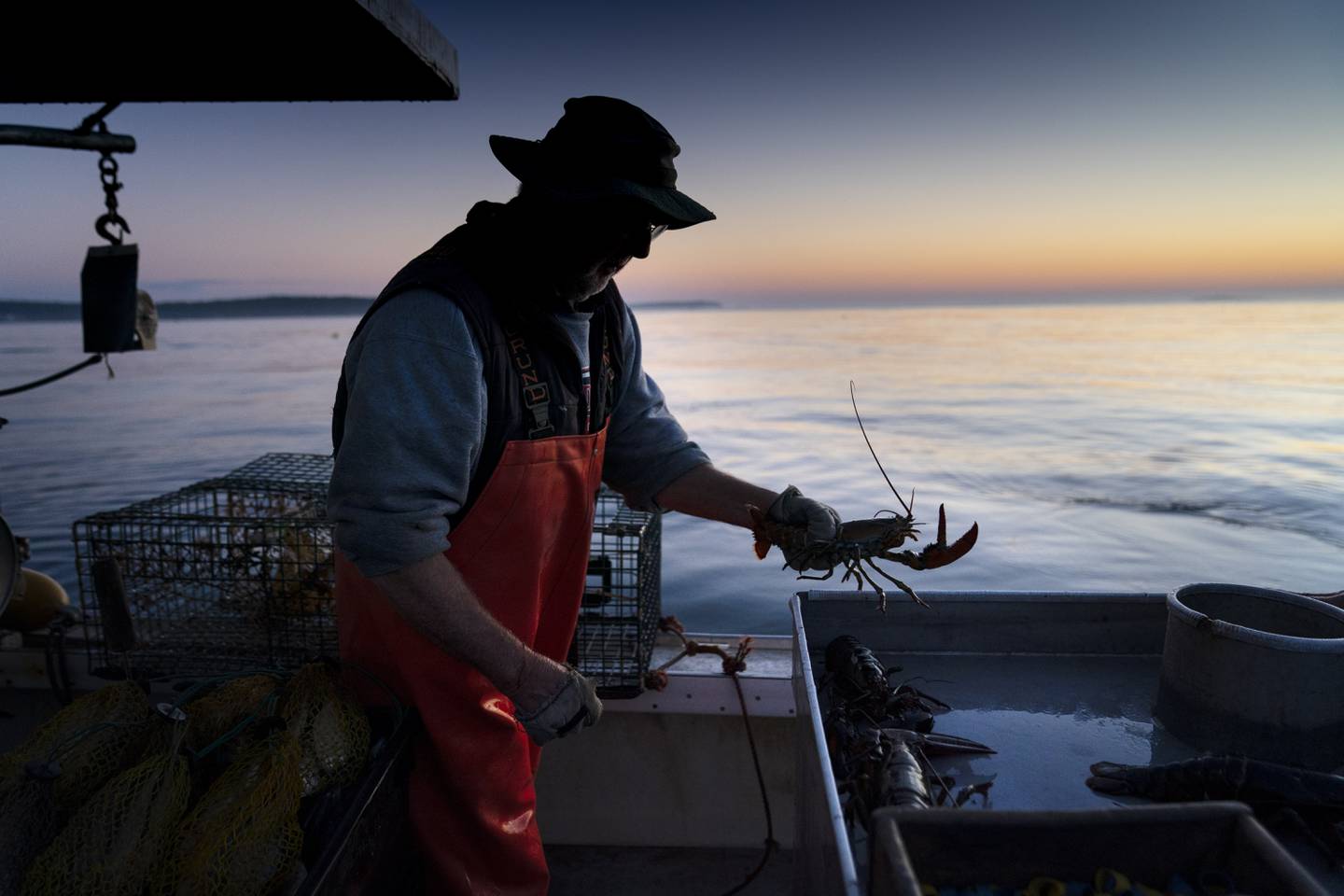 Despite the tariff war, the Chinese appetite for lobster appeared undimmed and once the tariffs were lifted, Maine founding itself on a level playing field with the Canadians again. AP