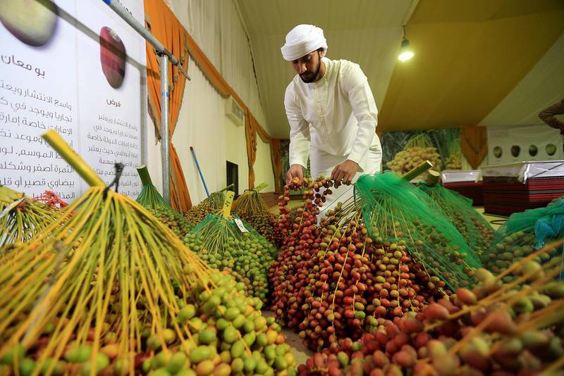 Abdullah Al Mazrouei inspects dates ahead of judging on the opening day of the Liwa Date Festival. Ravindranath K / The National