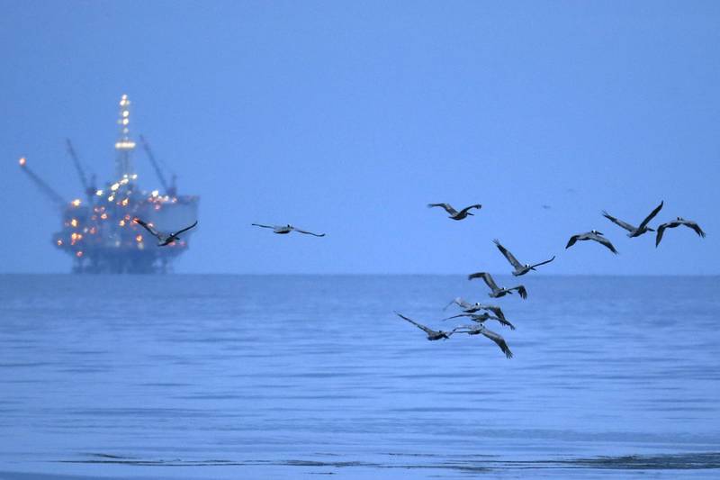 FILE PHOTO: Birds covered in oil fly in front of an oil-drilling platform above an oil slick along the coast of Refugio State Beach in Goleta, California, United States, May 20, 2015. REUTERS/Lucy Nicholson/File Photo