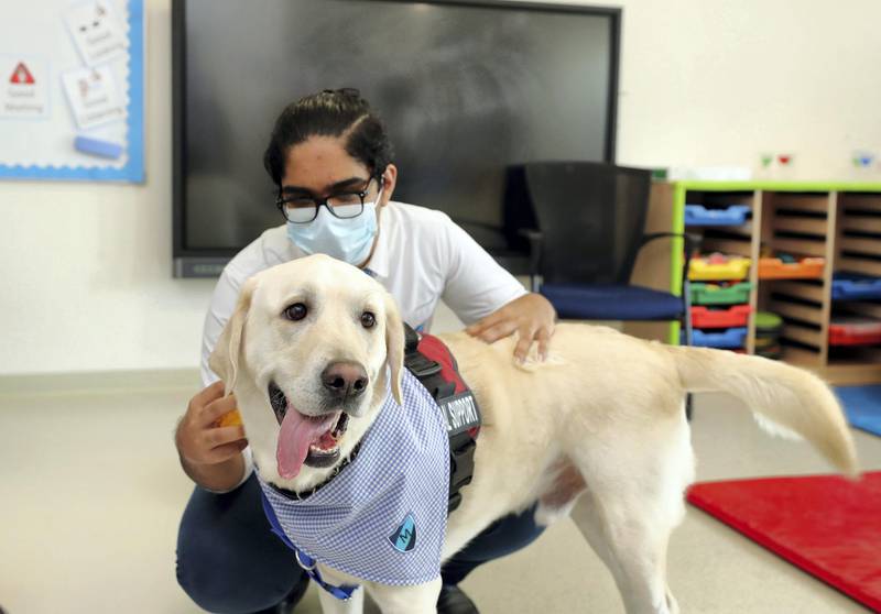 Dubai, United Arab Emirates - Reporter: Anam Rizvi. News. Education. Lotus is 4-year-old retriever and a emotional support animal at Gems Metropole School. Lotus with student Avichal aged 18. Monday, January 4th, 2021. Dubai. Chris Whiteoak / The National