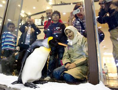 Ski Dubai celebrated this year's World Penguin Day. Sarah Dea / The National