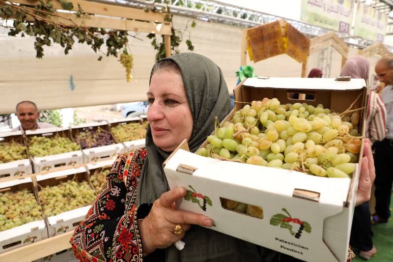 Palestinians display grapes during the Palestinian grapes festival in the village of Halhul, near the West Bank city of Hebron. Hebron is famous for its grape production because it contains many vineyards.  