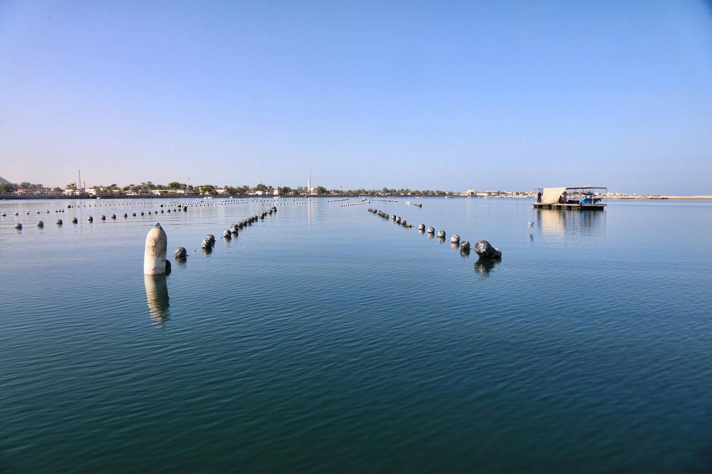 Travellers who book three nights or more in any Ras Al Khaimah hotel this summer, can get free passes to tour the Al Suwaidi Pearl Farm. Photo Courtesy: Ministry of Climate Change and Environment