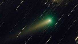 Once-in-a-lifetime ‘Christmas comet’ visible over Abu Dhabi