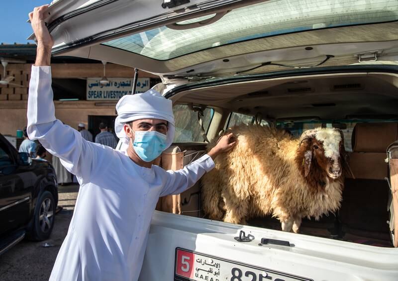 A man loads his SUV with a sheep that he bought during a busy day at the Abu Dhabi Livestock Market.