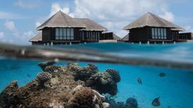 Underwater coral gardener sought for three-week internship in luxury Maldives resort