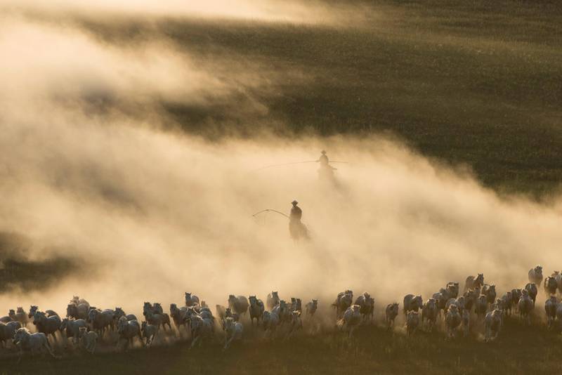 Horses run on the grassland of Ujimqin in Inner Mongolia Autonomous Region, China. Reuters