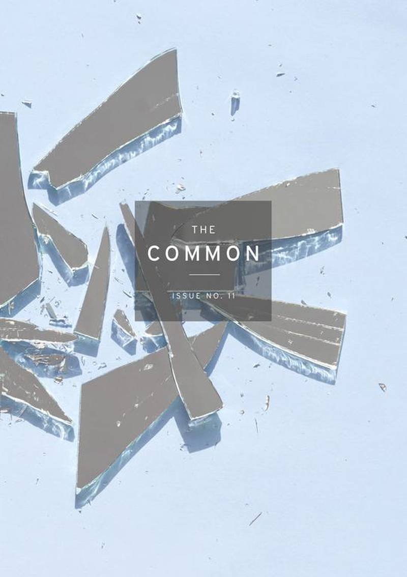 The Common No.11: Tajdeed: Contemporary Arabic Stories features 25 stories by writers from 15 Middle Eastern countries, translated into English. The initiative will be discussed at NYUAD on Thursday.
