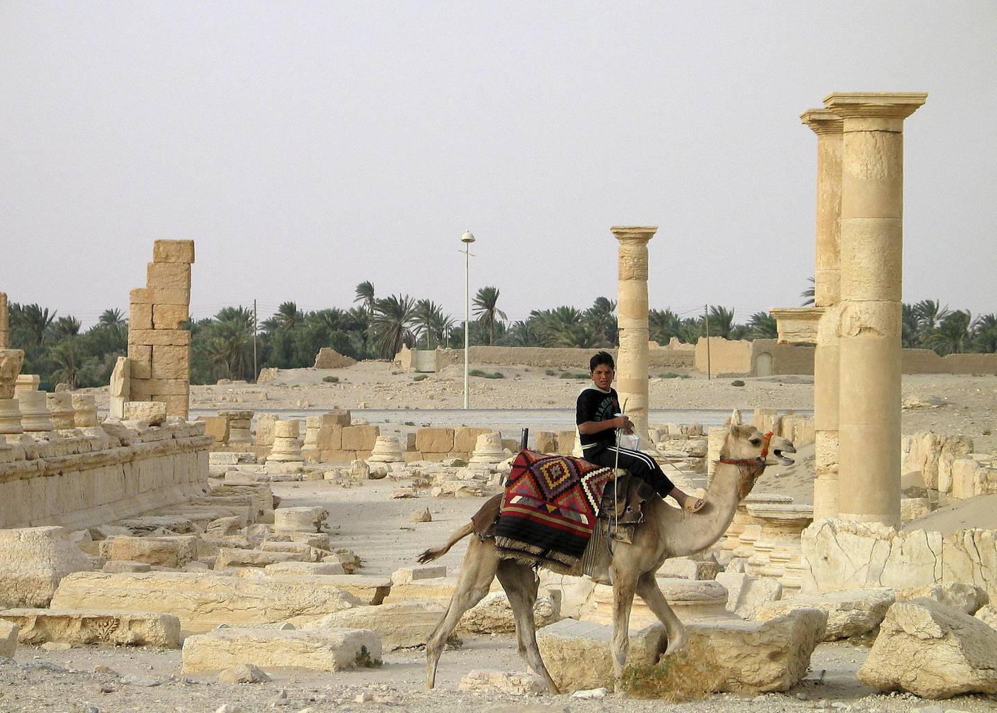 A boy rides a camel in the historical city of Palmyra, Syria, June 12, 2009. Satellite images have confirmed the destruction of the Temple of Bel, which was one of the best preserved Roman-era sites in the Syrian city of Palmyra, a United Nations agency said, after activists said the hardline Islamic State group had targeted it. The Syrian Observatory for Human Rights monitoring group and other activists said on August 30, 2015 that Islamic State had destroyed part of the more than 2,000-year-old temple, one of Palmyra's most important monuments. Picture taken June 12, 2009.  REUTERS/Gustau Nacarino