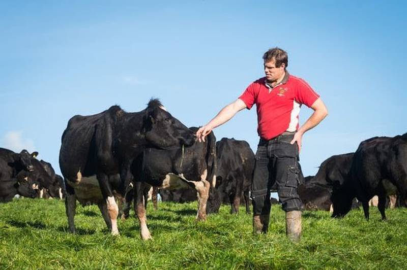 Richard Tucker on his farm in Tiverton in Devon, south-west England. He said British farmers are at a crossroads.
