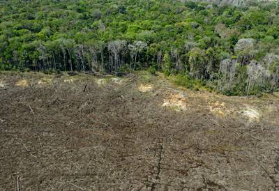 A deforested area close to Sinop, Mato Grosso State, Brazil. Deforestation in Brazil's Amazon rainforest rose by almost 22 percent from August 2020 to July 2021, compared with the same period the year before, reaching a 15-year high. AFP